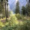 wf_poschiavo_suaser-1.jpg