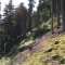 wf_poschiavo_suaser-11.jpg