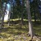 wf_poschiavo_suaser-13.jpg