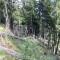 wf_poschiavo_suaser-16.jpg