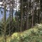 wf_poschiavo_suaser-2.jpg