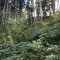 wf_poschiavo_suaser-4.jpg