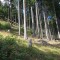 wf_poschiavo_suaser-6.jpg