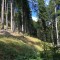 wf_poschiavo_suaser-7.jpg