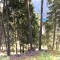 wf_poschiavo_suaser-9.jpg