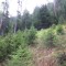 img_0937.jpg