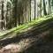 wf_castrisch_runcalet_fs-1.1_2009.jpg