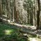 wf_castrisch_runcalet_fs-2.1_2009.jpg