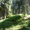 wf_castrisch_runcalet_fs-4.1_2009.jpg