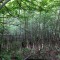 img_2158.jpg