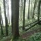 foto-3-1780289223.jpg
