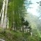 foto-6-1780289369.jpg