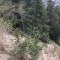 img_8984.jpg