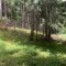 wf_safiental_erlacresta_fs-1.1_2022.jpg