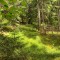 wf_safiental_erlacresta_fs-1.2_2022.jpg