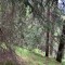 wf_safiental_erlacresta_fs-2.1_2022.jpg