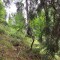 wf_safiental_erlacresta_fs-2.2_2022.jpg
