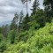 wf_safiental_erlacresta_fs-3.1_2022.jpg