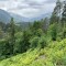 wf_safiental_erlacresta_fs-3.2_2022.jpg