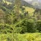 wf_safiental_erlacresta_fs-3.3_2022.jpg