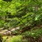 wf_safiental_erlacresta_fs-4.2_2022.jpg