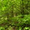 wf_safiental_erlacresta_fs-4.3_2022.jpg
