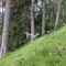 wf_safiental_erlacresta_fs-5.1_2022.jpg