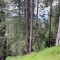 wf_safiental_erlacresta_fs-5.2_2022.jpg