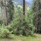 wf_safiental_erlacresta_fs-5.3_2022.jpg