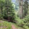wf_safiental_erlacresta_fs-5.4_2022.jpg