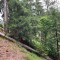 wf_safiental_erlacresta_fs-5.5_2022.jpg