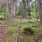 wf_safiental_erlacresta_fs-6.1_2022.jpg