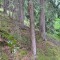wf_safiental_erlacresta_fs-6.2_2022.jpg