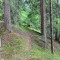 wf_safiental_erlacresta_fs-6.3_2022.jpg