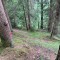 wf_safiental_erlacresta_fs-6.4_2022.jpg