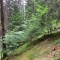 wf_safiental_erlacresta_fs-6.5_2017.jpg