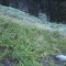 wf_obersaxen_wurzenriedwald_fs-5_2020.jpg