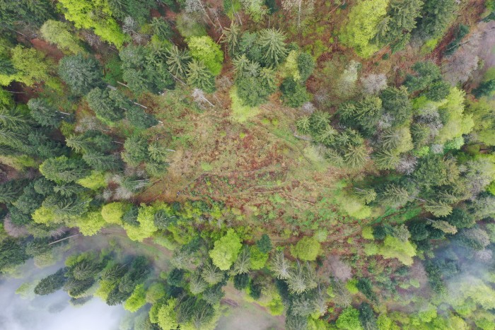 dji_0135.jpg